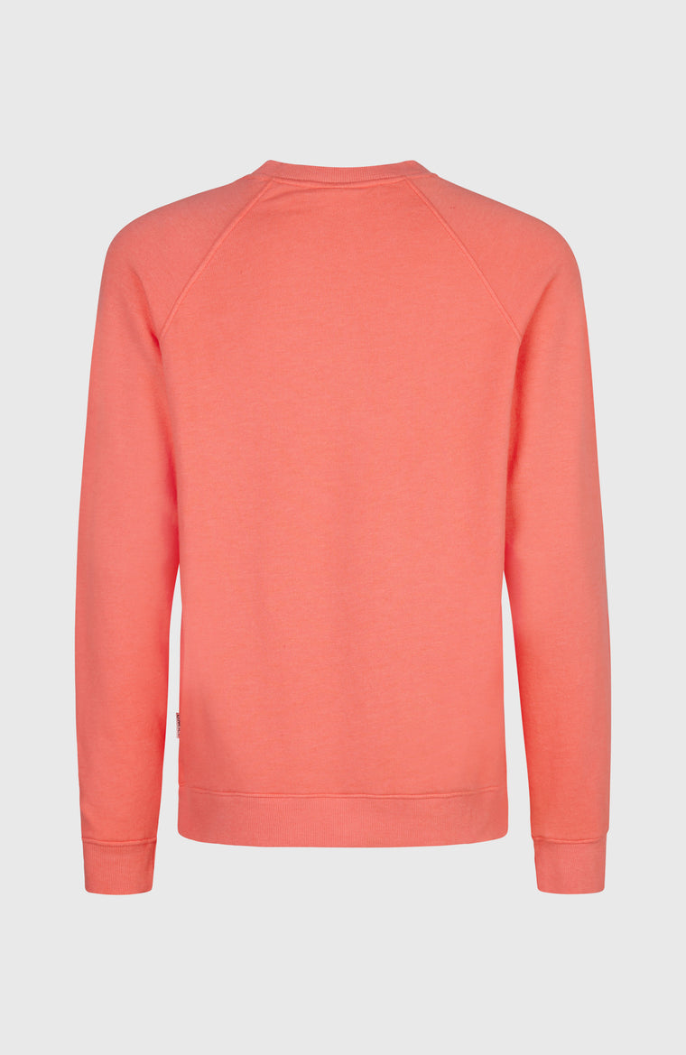 O'Neill Beach Vintage Crew | Rose Parade O'Neill Beach Vintage Crew | Rose Parade