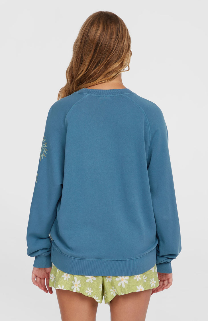 Beach Vintage Crew Sweatshirt | Copen Blue