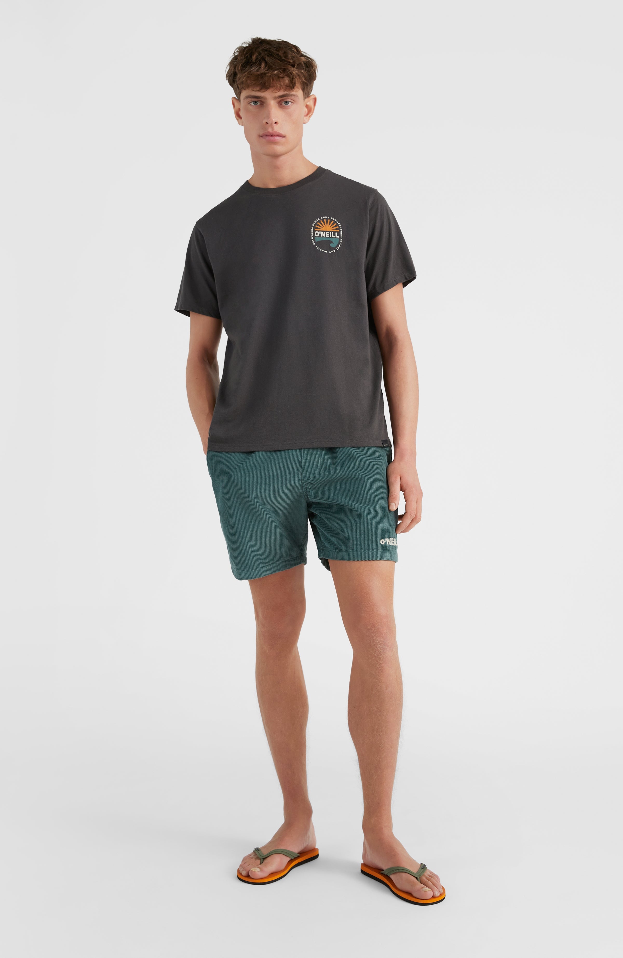 patagonia parrot shorts