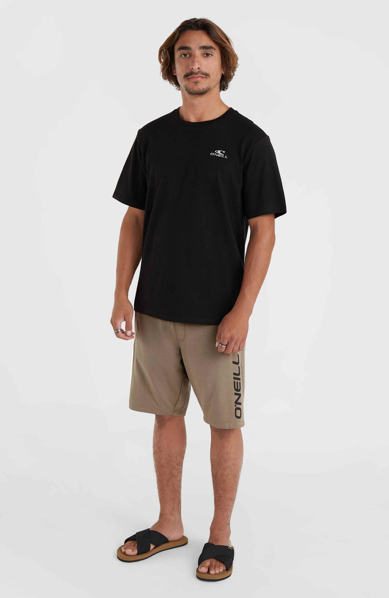O'Neill Logo Sweatshorts | Pumpkin Smoke O'Neill Logo Sweatshorts | Pumpkin Smoke
