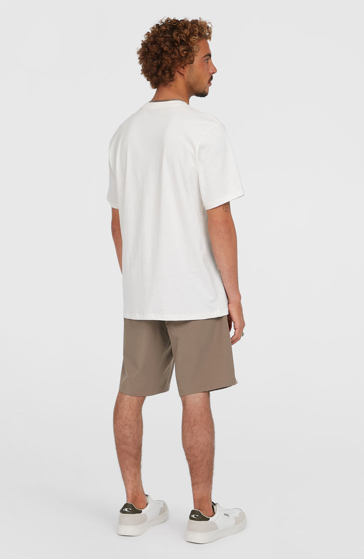 Hybrid Chino 19" Shorts | Pure Cashmere