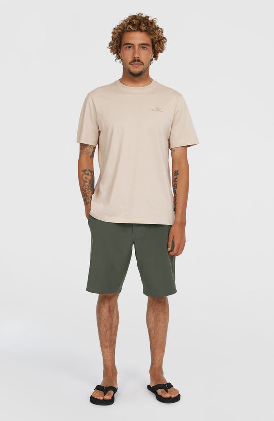 Hybrid Chino 19" Shorts | Raven