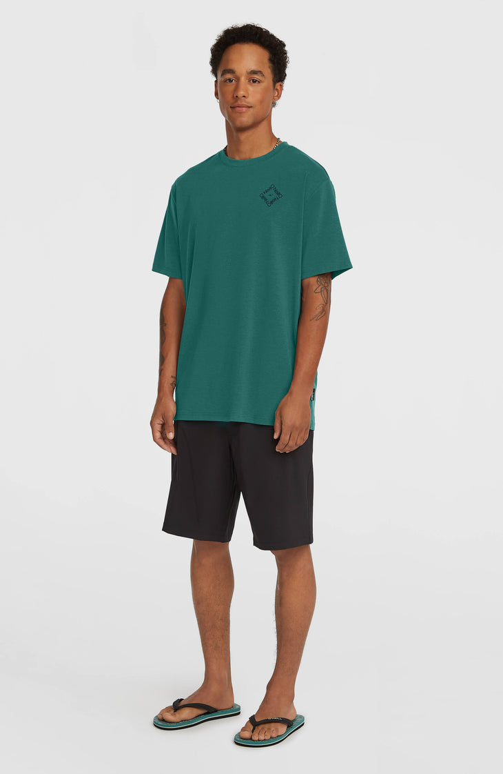 Hybrid 19" Shorts | Black Out