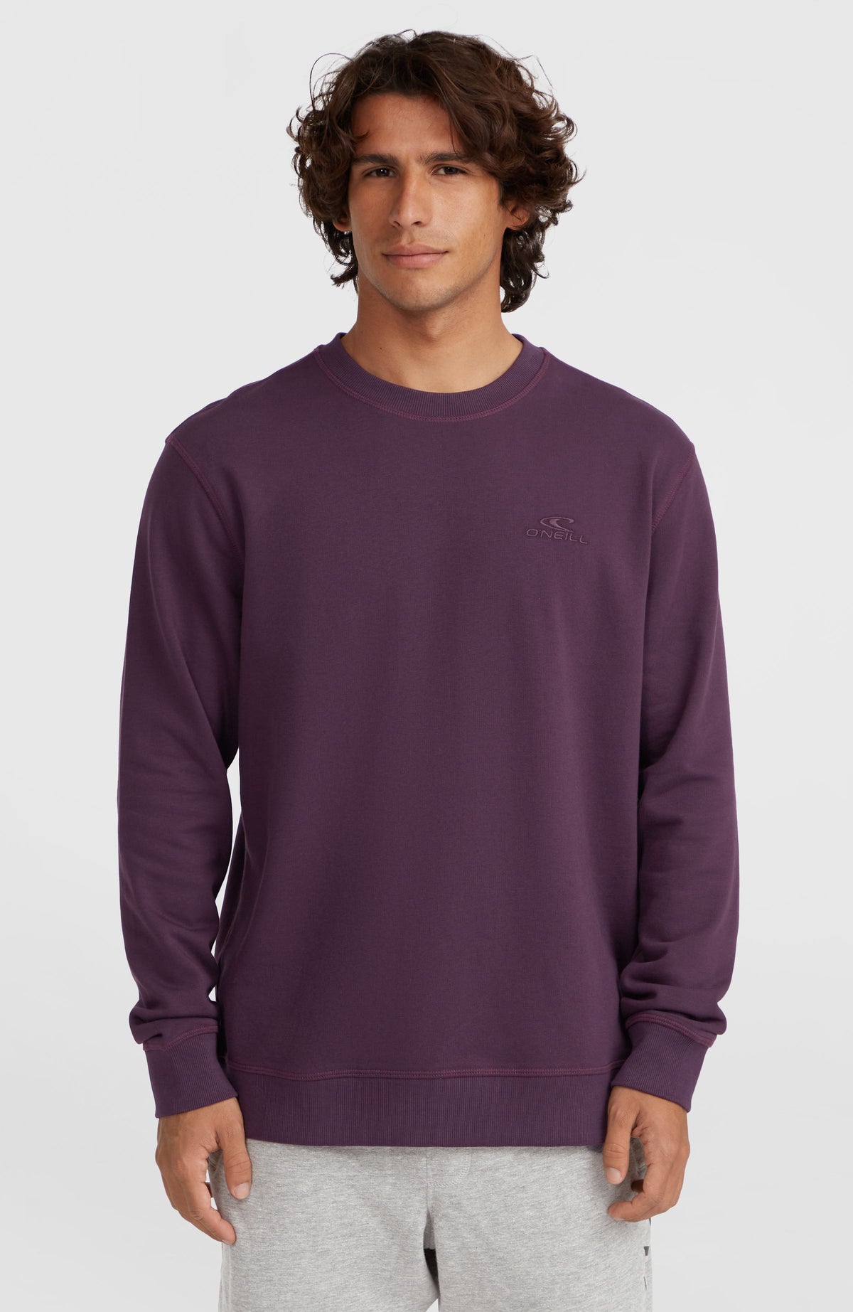 Small Logo Crew Sweatshirt | Aubergine