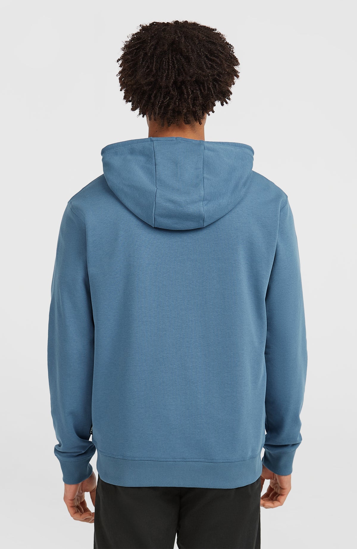 Small Logo Full-Zip Hoodie | Mozart Blue