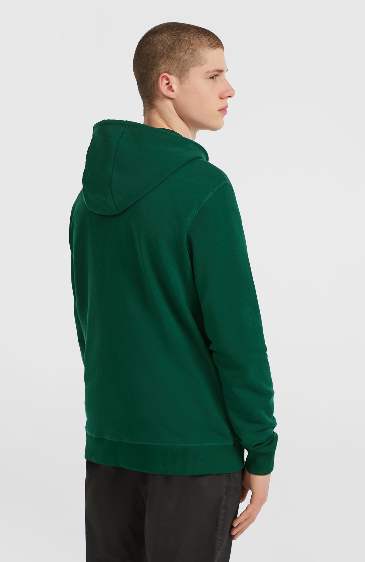 Small Logo Full-Zip Hoodie | Emerald Envy