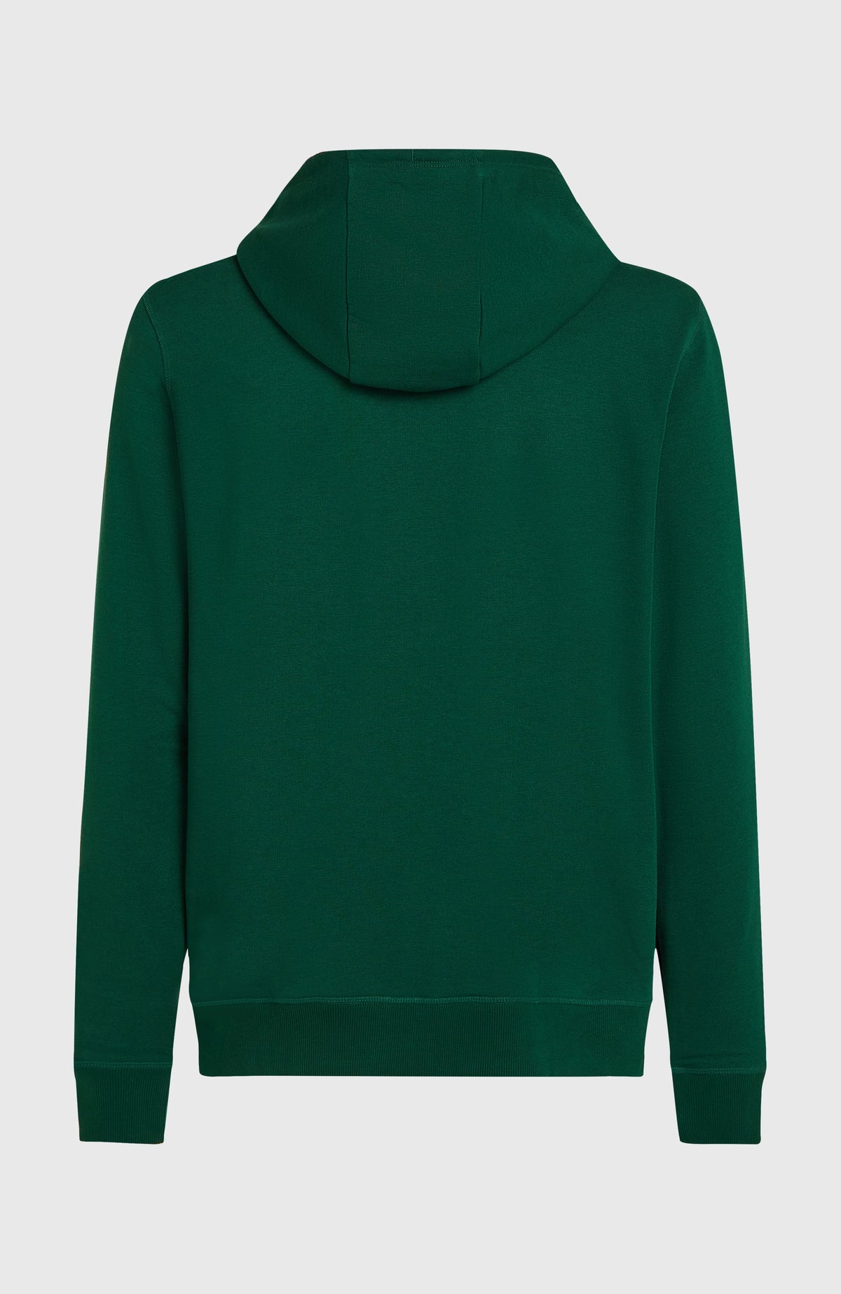 Small Logo Full-Zip Hoodie | Emerald Envy