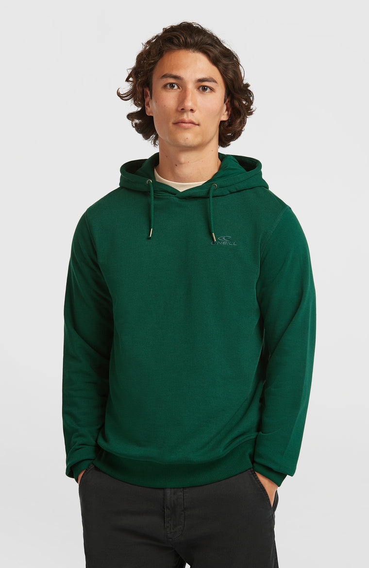 Small Logo Hoodie | Emerald Envy Small Logo Hoodie | Emerald Envy