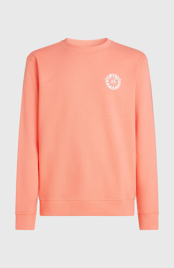 O'Neill Must-Have Graphic Crew Sweatshirt | Funky Peach