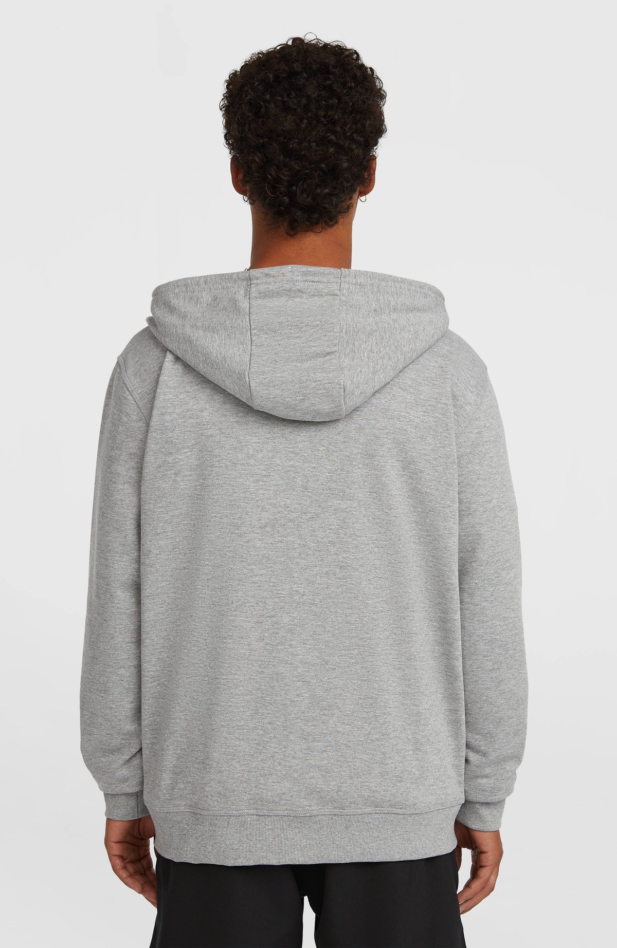 Small Logo Full-Zip Hoodie | Silver Melee