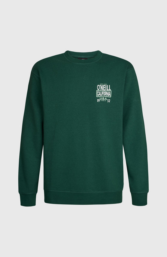 O'Neill Small Logo Crew Sweatshirt | Emerald Envy