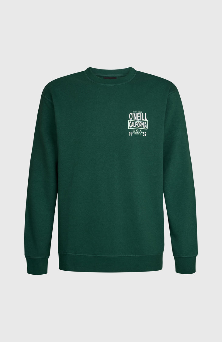 O'Neill Small Logo Crew Sweatshirt | Emerald Envy