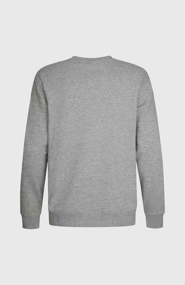 O'Neill Small Logo Crew Sweatshirt | Silver Melee