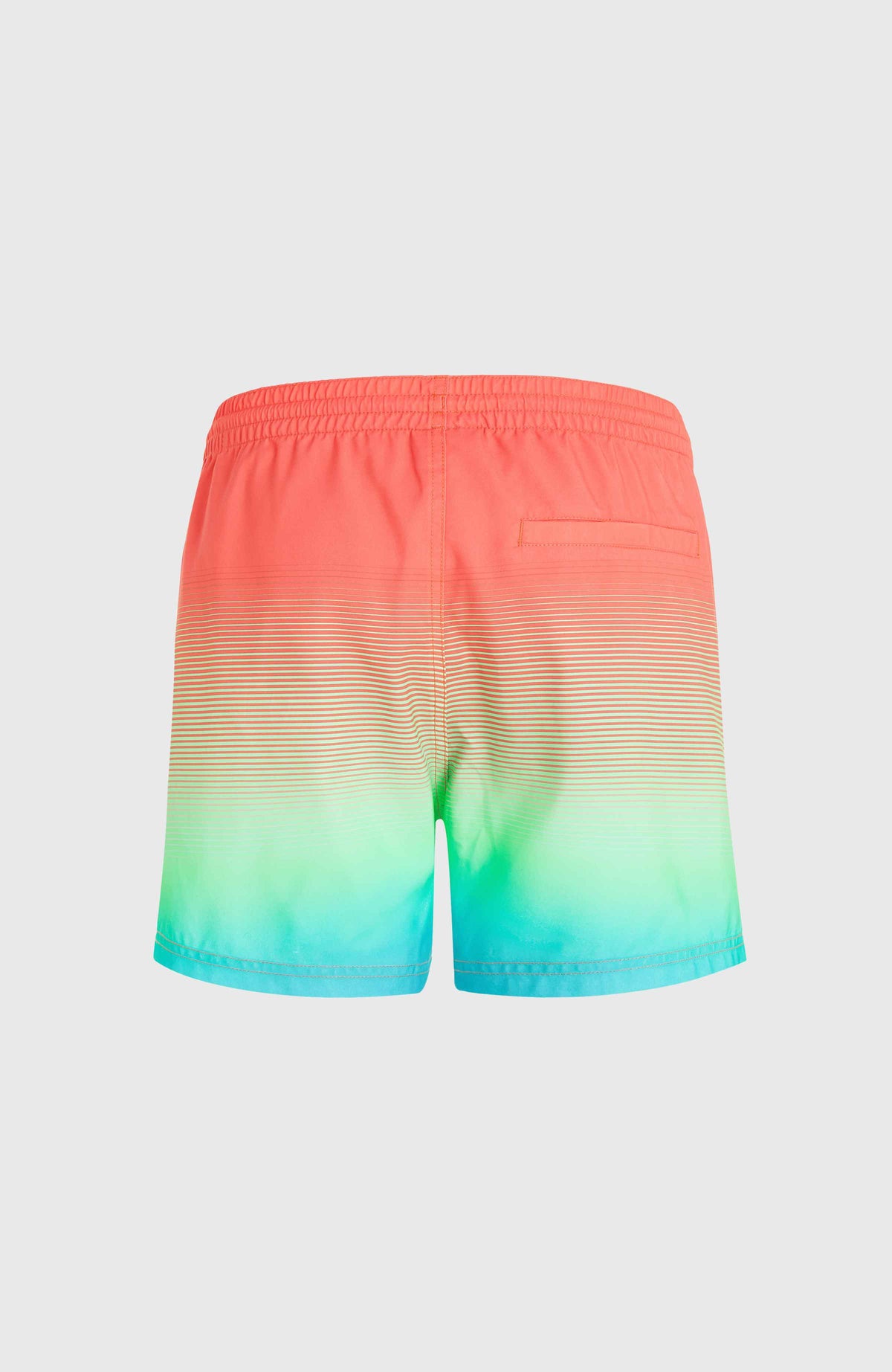 Jack O'Neill Cali Gradient 15'' Swim Shorts | Living Coral Simple Gradient Panel