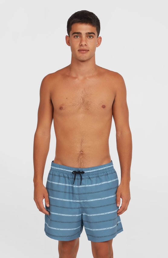 Cali First 15'' Swim Shorts | Blue O'Neill Stripe