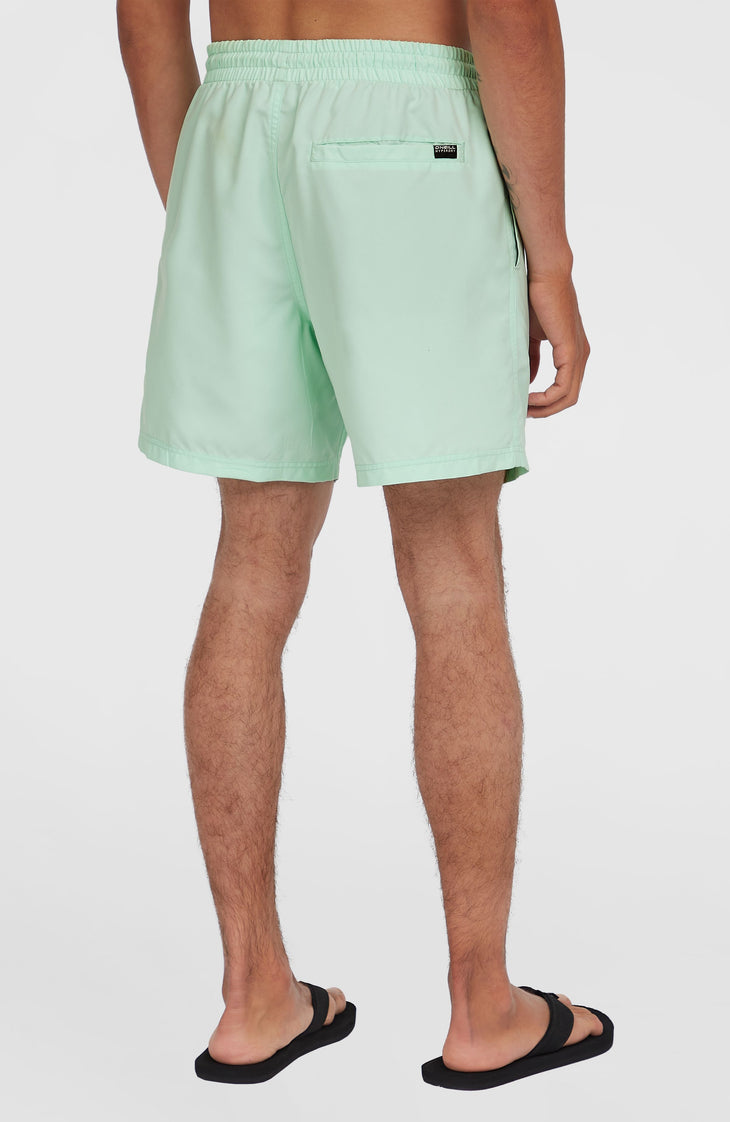 Cali 16'' Swim Shorts | Mildrew Mint