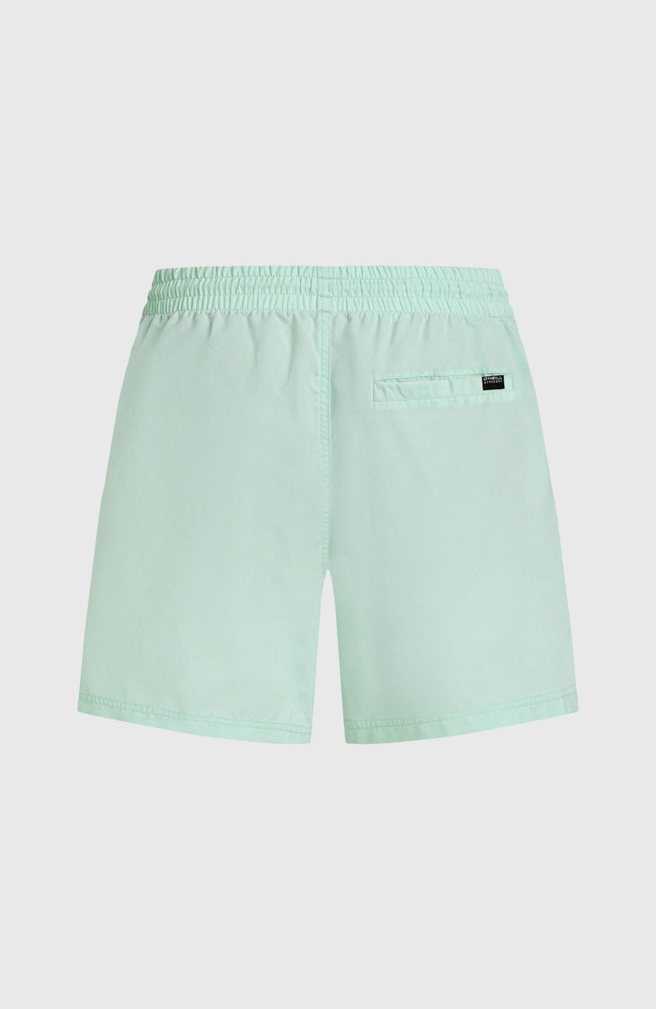 Cali 16'' Swim Shorts | Mildrew Mint