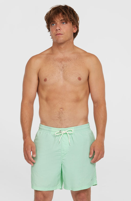 O’Neill Vert 16'' Swim Shorts | Mildrew Mint