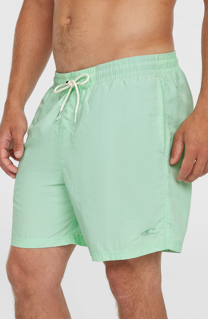 O’Neill Vert 16'' Swim Shorts | Mildrew Mint