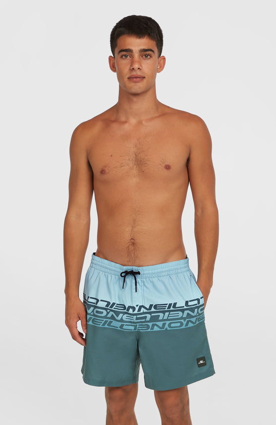 Cali Stripe 16'' Swim Shorts | Blue Upside Down