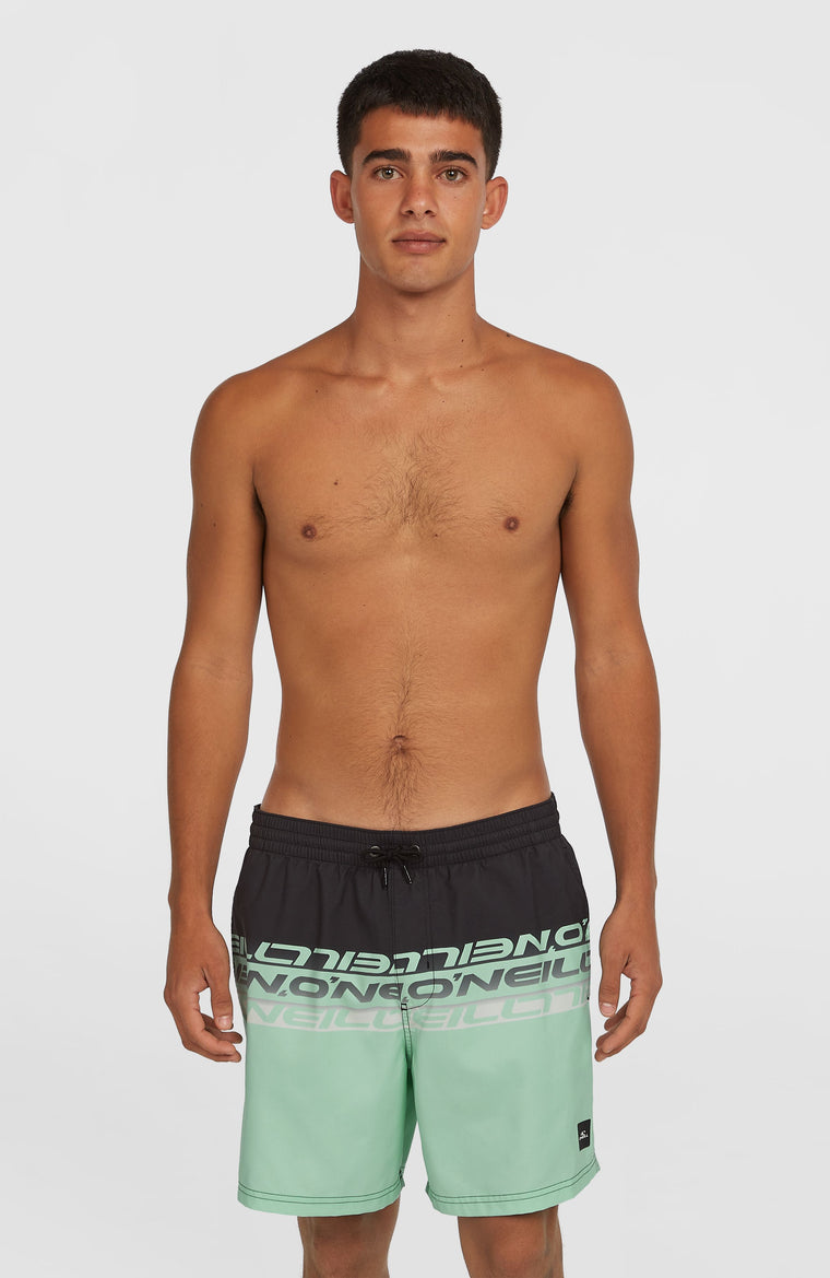 Cali Stripe 16'' Swim Shorts | Green/Black Upside Down Clean Cali Stripe 16'' Swim Shorts | Green/Black Upside Down Clean