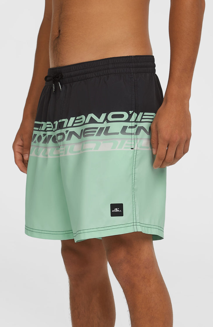 Cali Stripe 16'' Swim Shorts | Green/Black Upside Down Clean