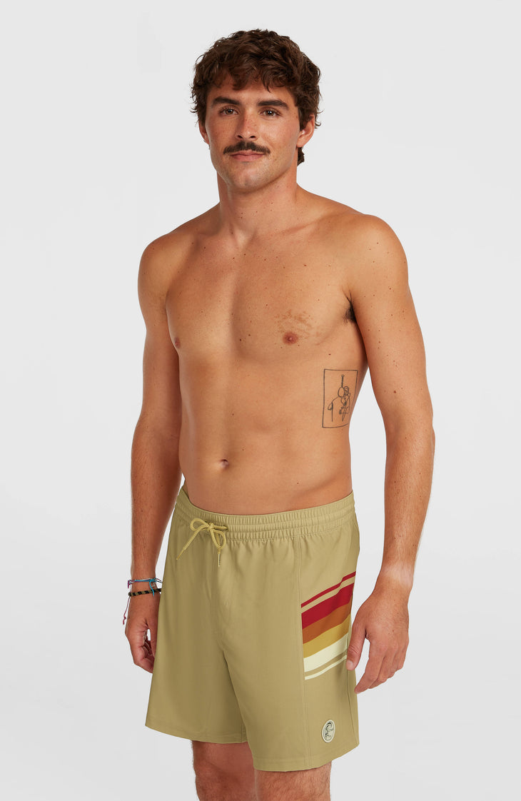 O'Riginals Side Panel 16'' Swimshorts | Oak Ridge