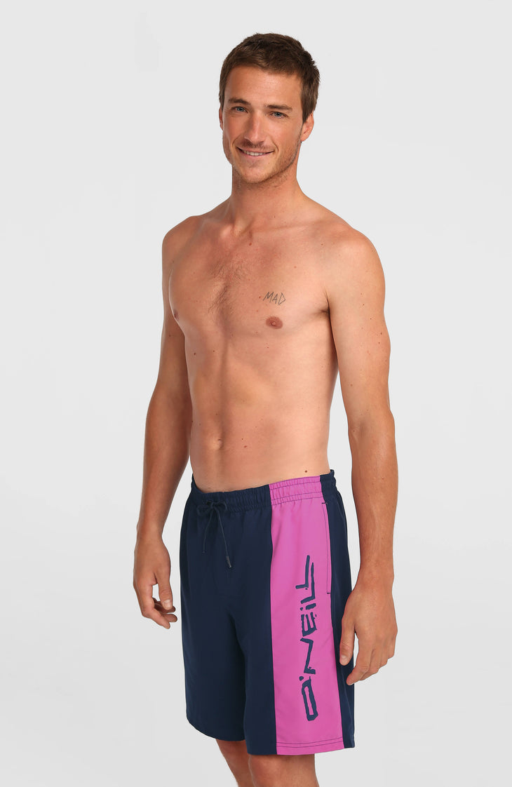 O'Neill Retro 19'' Swimshorts | English Evening Colour Block