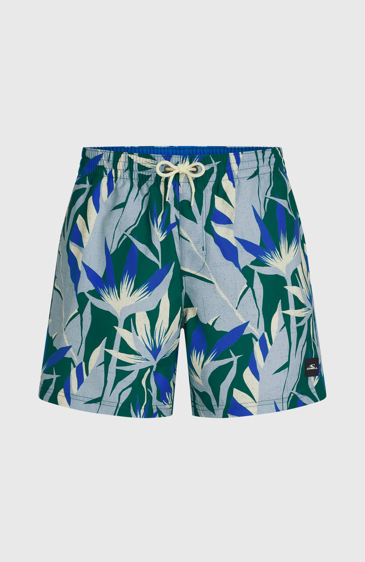 O'Neill Print 16'' Swimshorts | Blue Tropicana Big