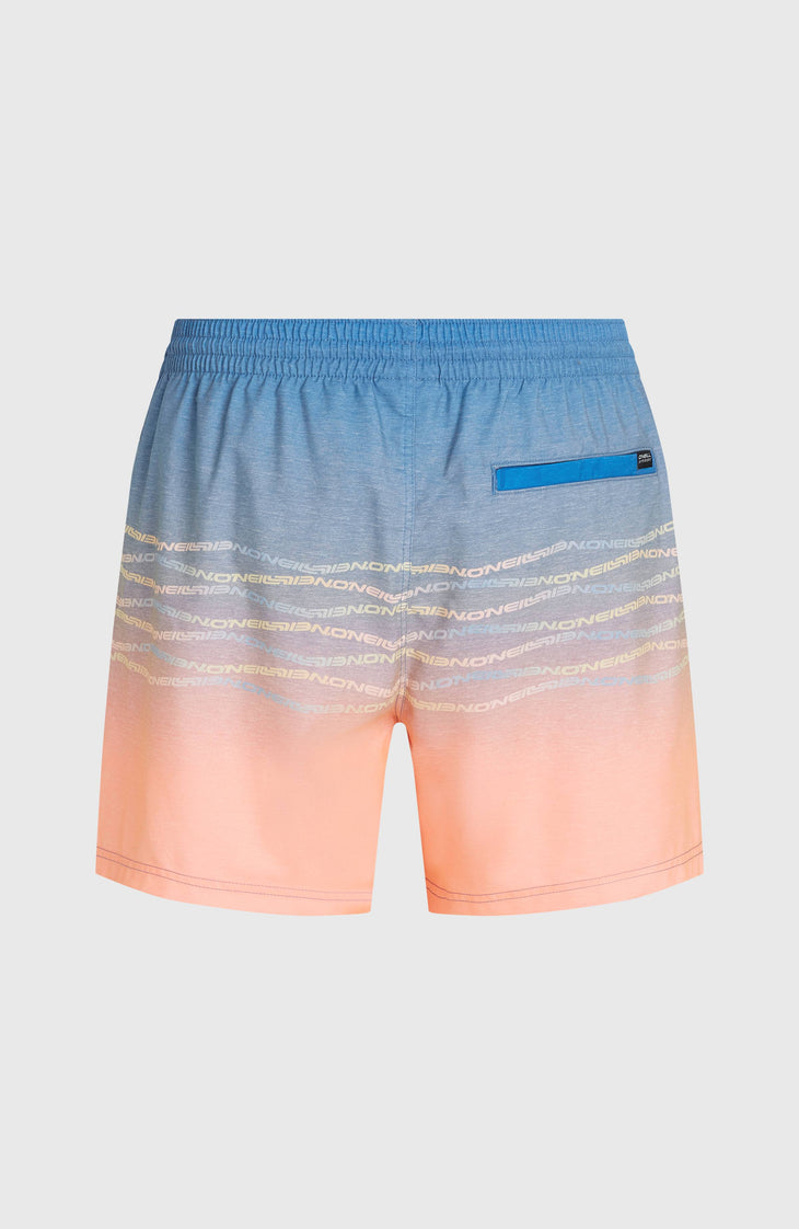 O'Neill First 15'' Swimshorts | Blue Heritage O'Neill Flip