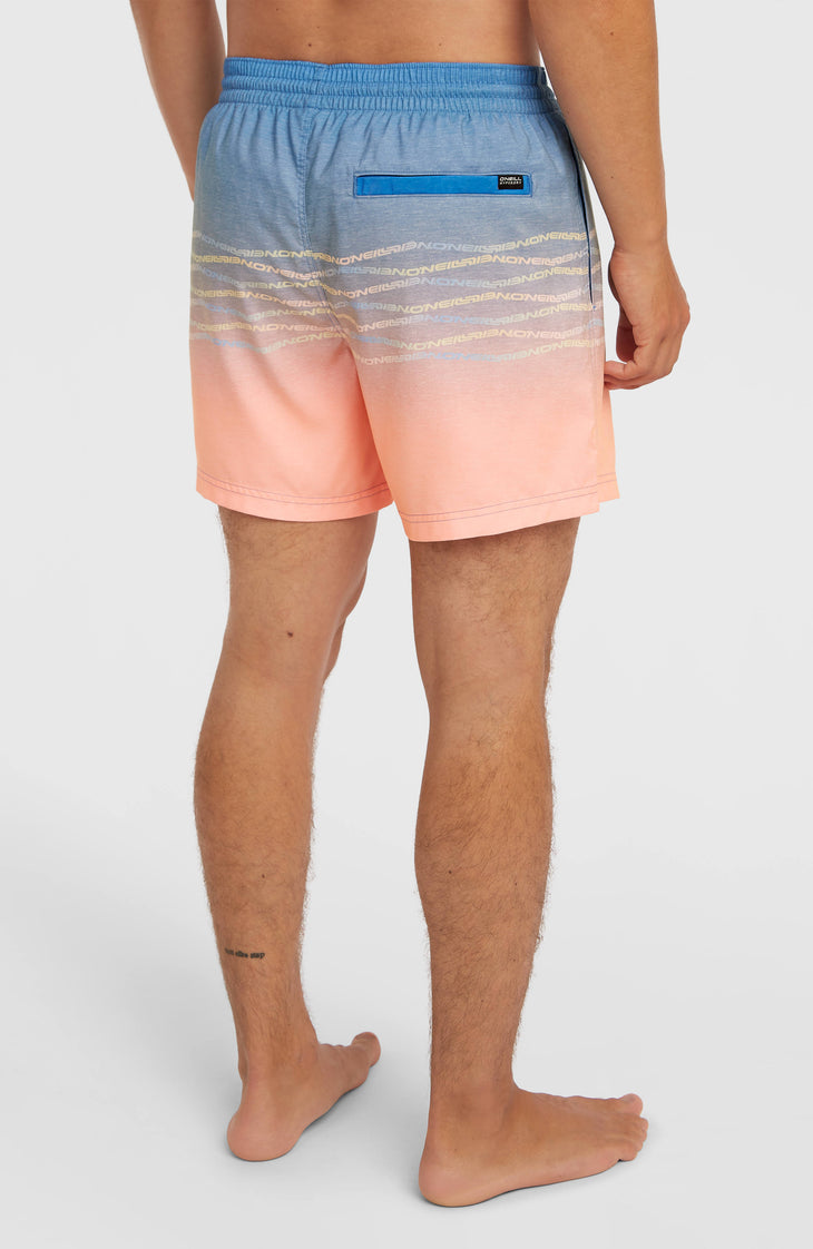 O'Neill First 15'' Swimshorts | Blue Heritage O'Neill Flip