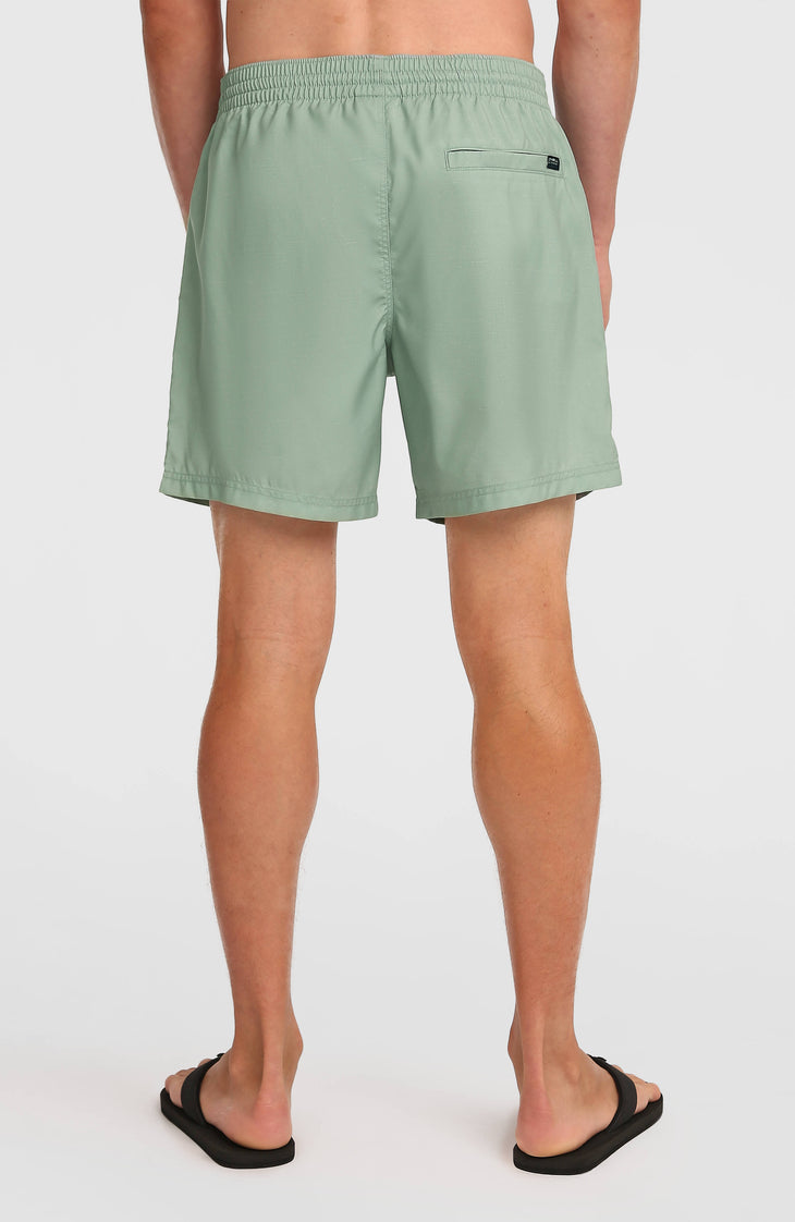 O'Neill Uni Flower 16'' Swimshorts | Green Tropical Stripe