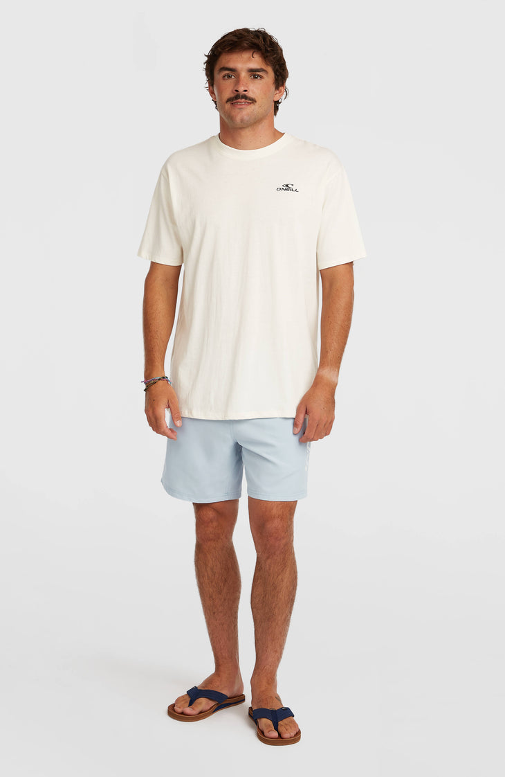 O'Neill Logo 16'' Swimshorts | Spindle