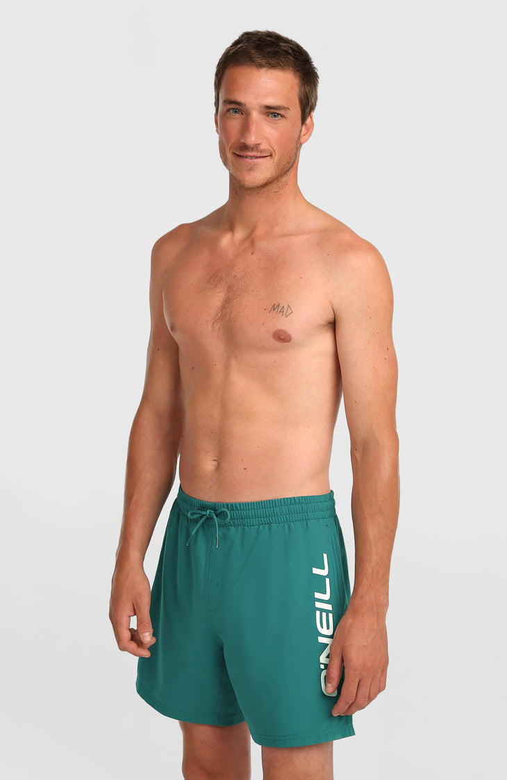 O'Neill Logo 16'' Swimshorts | Botanical Heat