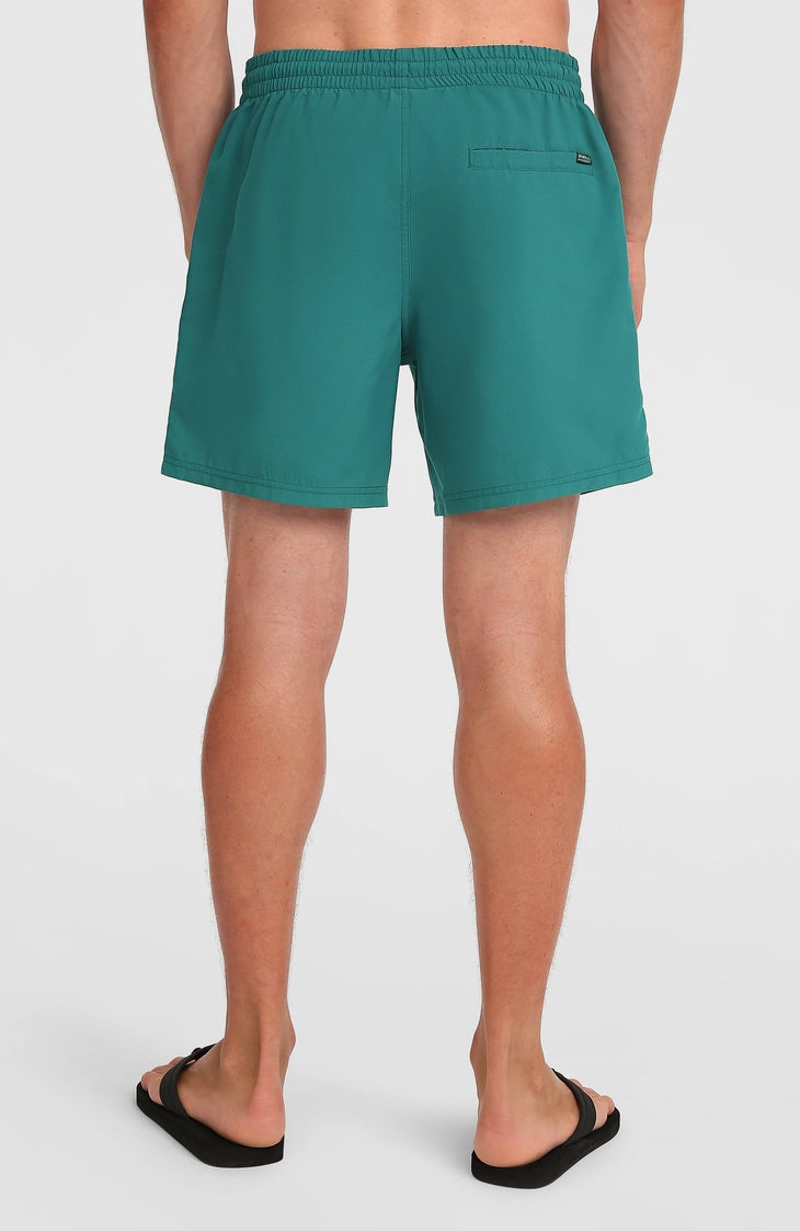 O'Neill Logo 16'' Swimshorts | Botanical Heat