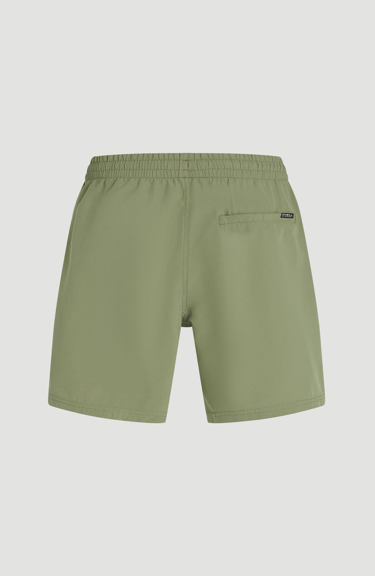 O'Neill Logo 16'' Swimshorts | Avery Fern