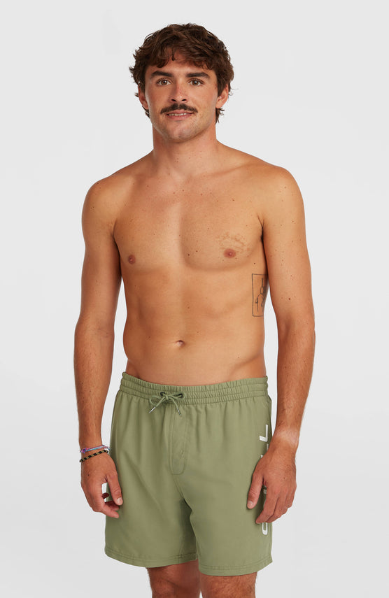 O'Neill Logo 16'' Swimshorts | Avery Fern