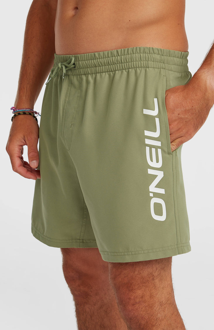 O'Neill Logo 16'' Swimshorts | Avery Fern