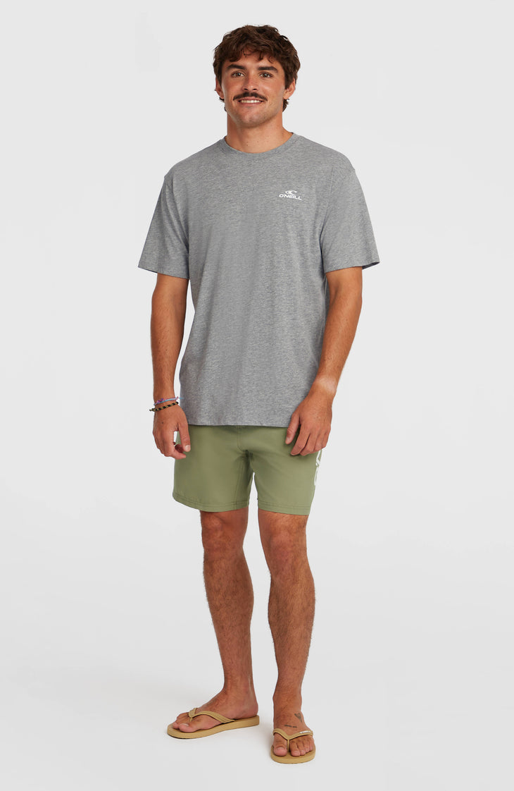 O'Neill Logo 16'' Swimshorts | Avery Fern