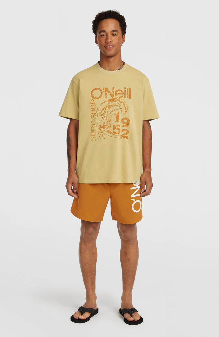 O'Neill Cali 16'' Swimshorts | Tandoori