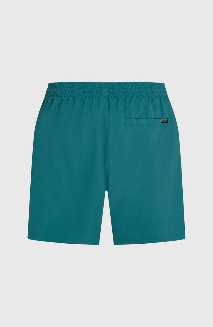 O'Neill Cali 16'' Swimshorts | Botanical Heat