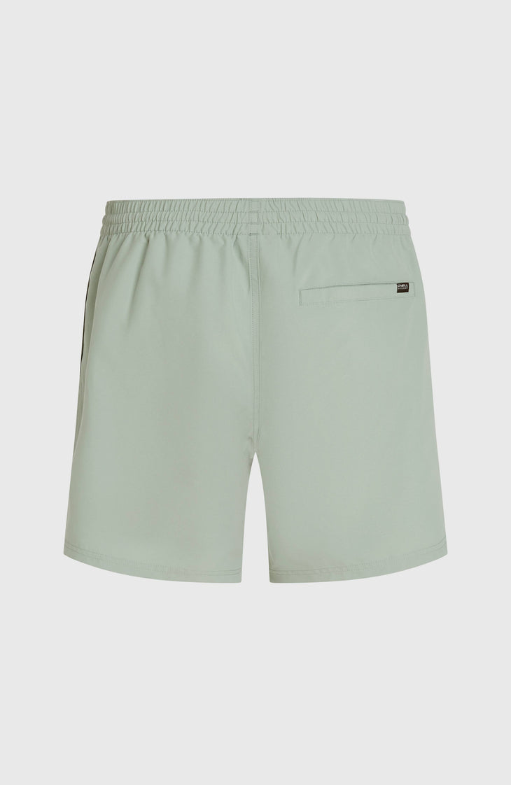 O'Neill Cali 16'' Swimshorts | Marble Arch