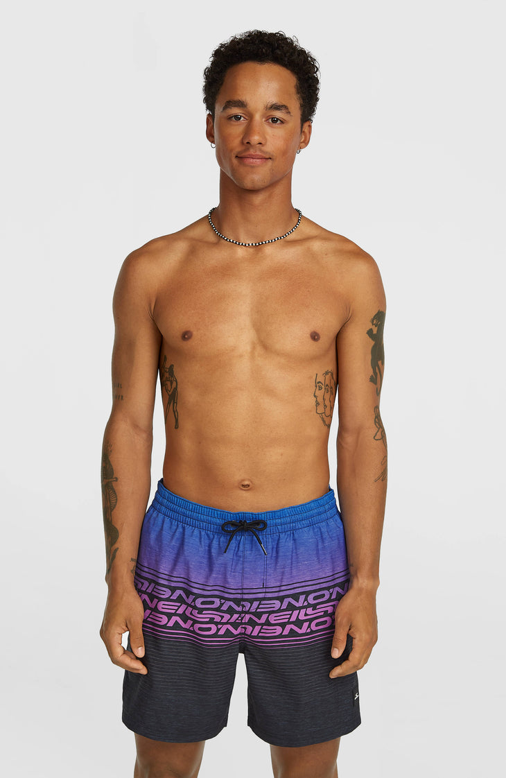 Logo Stripe 16'' Swimshorts | Blue Heritage O'Neill Stripe
