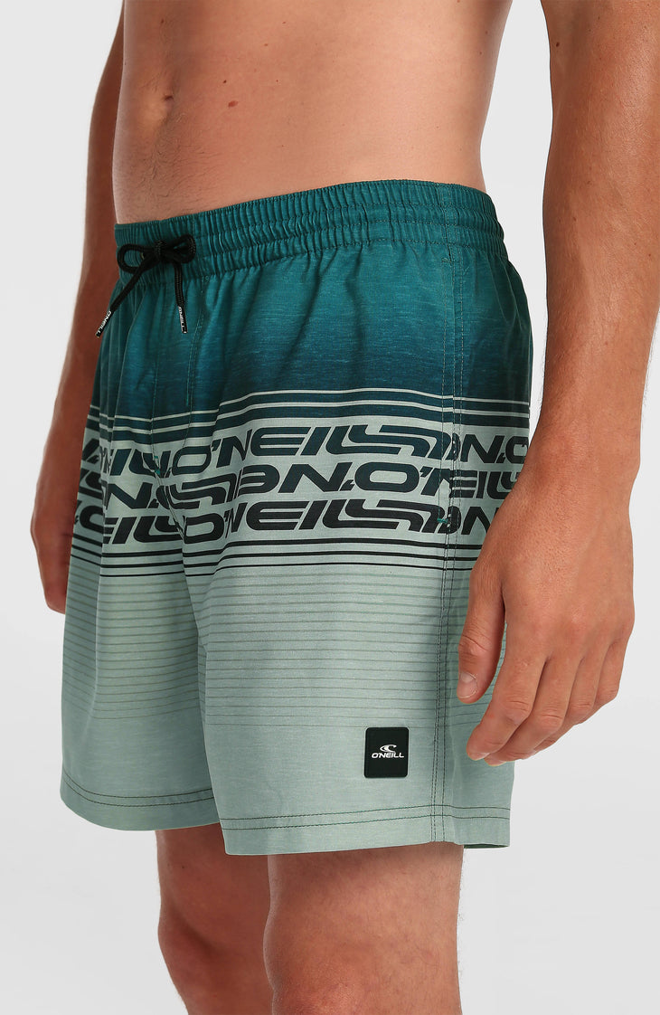 Logo Stripe 16'' Swimshorts | Green Heritage Stripe