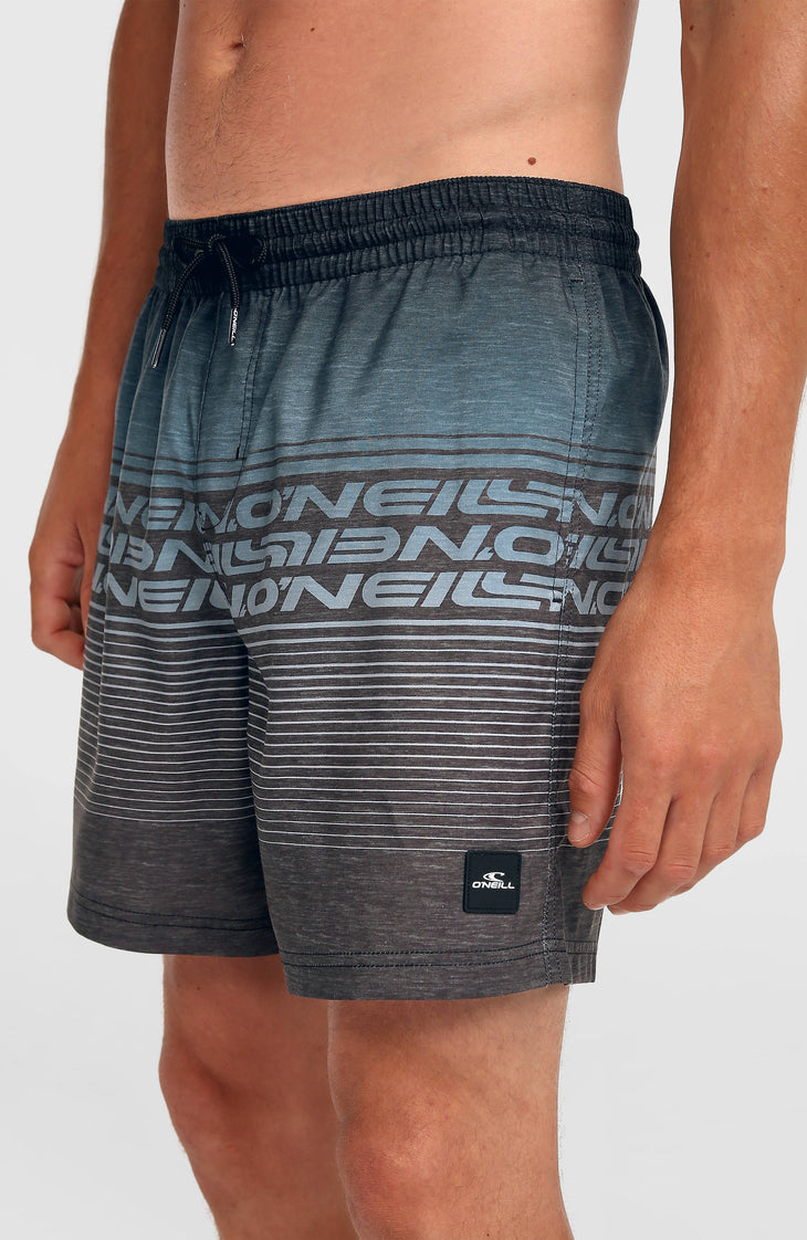 Logo Stripe 16'' Swimshorts | Black Out Heritage O'Neill Stripe