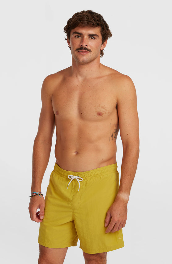 O'Neill Vert 16'' Swimshorts | Angel Fern