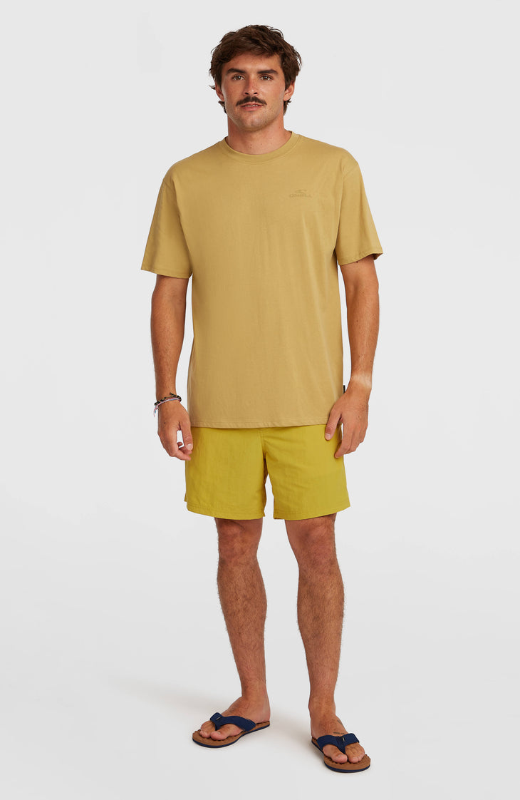 O'Neill Vert 16'' Swimshorts | Angel Fern