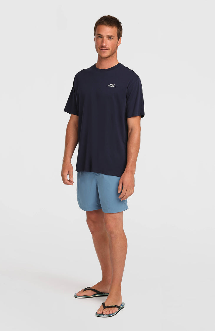 O'Neill Vert 16'' Swimshorts | Copen Blue