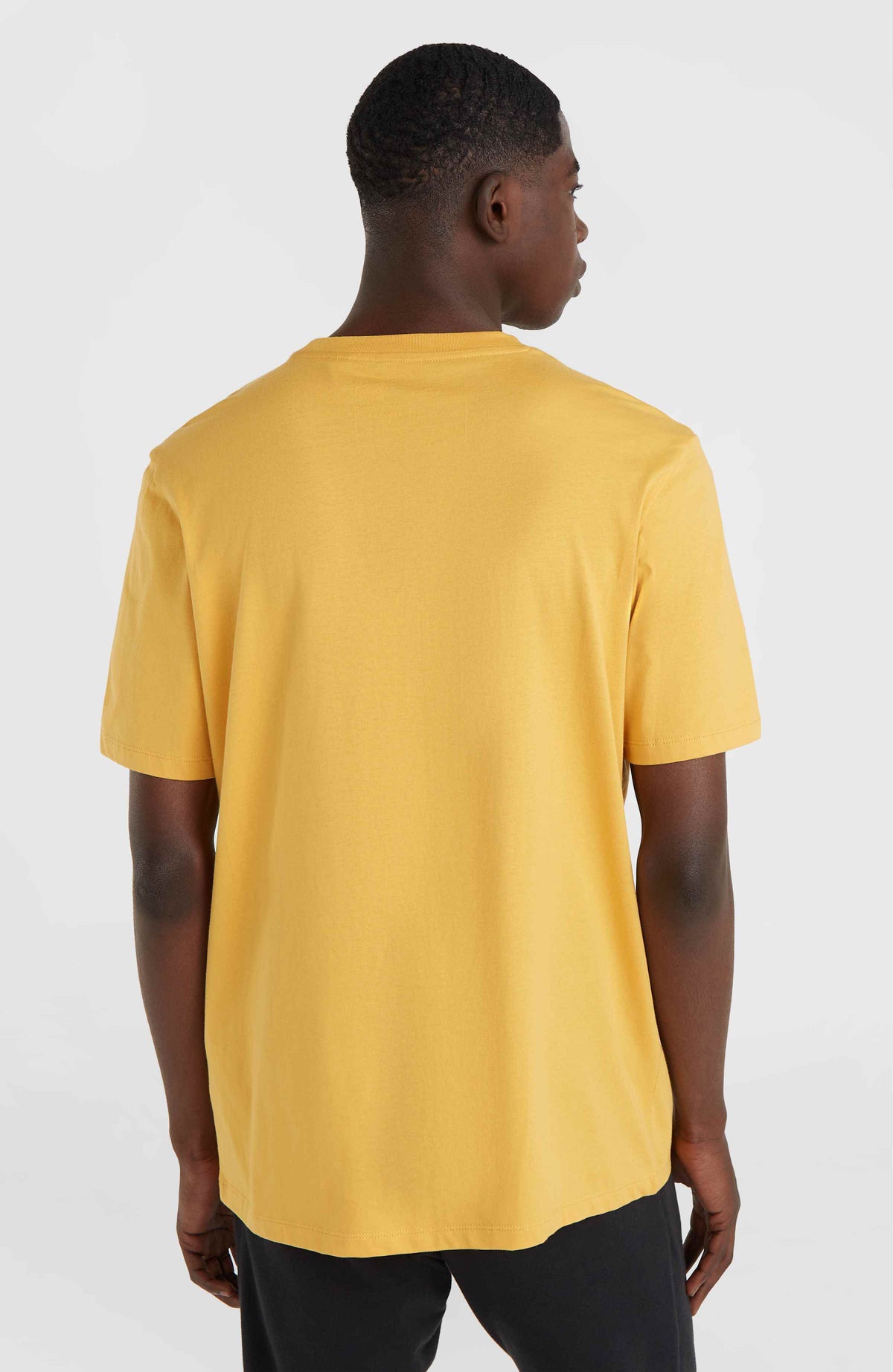 O'Neill Small Logo T-Shirt | Golden Haze
