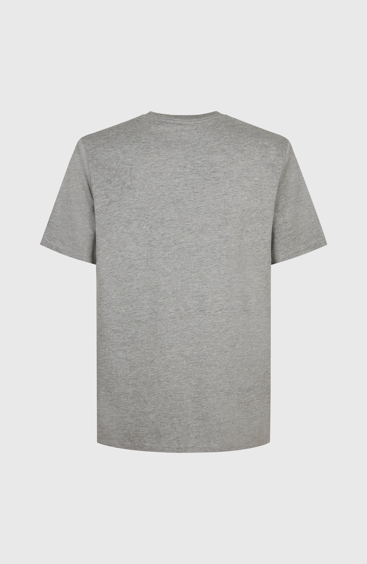 Future Surf Society T-Shirt | Silver Melee